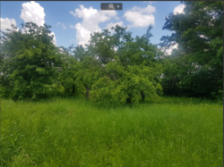 ������ ������ ����� � 28 ������� � �. ������ ���� 2