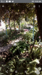 А2 Продам дом на Салтовке фото 2 А2 Продам дом на Салтовке фото 2