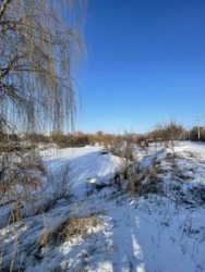 ��������� ��� ���������� �������, 19, �����������, �����������, ����������� ���� 9