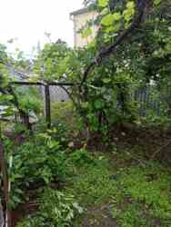 Продам дом 67м2 12 соток приватизация Салтовка Французский бульвар Барабашова фото 4 Продам дом 67м2 12 соток приватизация Салтовка Французский бульвар Барабашова фото 4