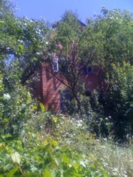 ���� � ������� �������� ���� 3