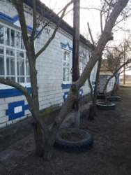 А2Продам крепкий дом Чемужовка.. фото 7 А2Продам крепкий дом Чемужовка.. фото 7