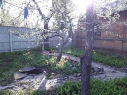 ��������� ��� ������������ ��., �������, �����������, ���������� ���� 1