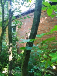 �2 ������ ��� ������ �������, �������������� ���� 1