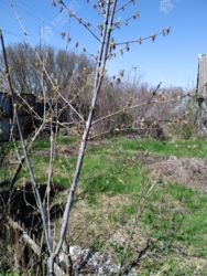 �2������ ������� . ��� ������ ���� 8