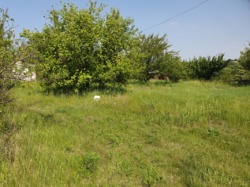 Продается дом Ольховка, Харьковский, Харьковская фото 2 Продается дом Ольховка, Харьковский, Харьковская фото 2