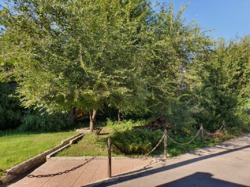 ������ ��������� ��� � ��������� �� ������� ���������, �������� ��������� ����������! ���� 7