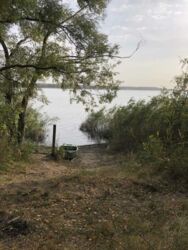 Дача в Липецком направлении. фото 8 Дача в Липецком направлении. фото 8