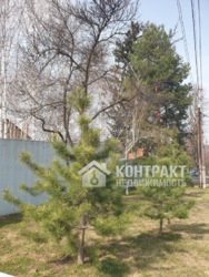 Продам дом возле Саржиного Яра с большим участком! Дом на Шатиловке! фото 5 Продам дом возле Саржиного Яра с большим участком! Дом на Шатиловке! фото 5