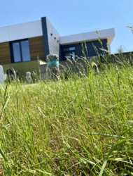 ������ ���, �������, �������� ���� 13