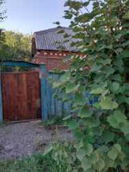 ������ ����� ���� �����. ���� 7