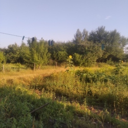 �2 ������ �������� ��� ��� ������� ���� ��������. ���� 4