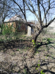 �2������ ������� . ��� ������ ���� 26