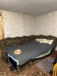 ������ ������� ������� | ������ | ����� | �������� ���� ���� 19