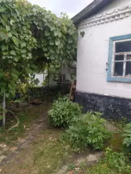   , ,   3