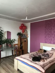   , , -2  5