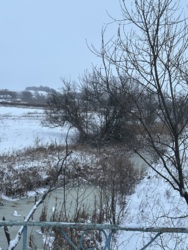 Продаж будинку 177,4м² на великій ділянці 50 соток фото 32 Продаж будинку 177,4м² на великій ділянці 50 соток фото 32