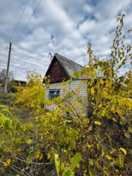 Продається дача в кооперативі “Світанок” фото 2 Продається дача в кооперативі “Світанок” фото 2