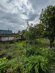 ������ ������� ���� 12