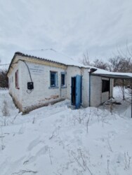 Продаж будинку в центрі Власівки фото 1 Продаж будинку в центрі Власівки фото 1