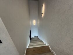 ��������� ������� ��������, ³��������, ³������� ���� 11