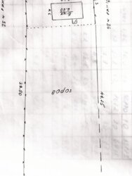 ��������� ������� ��������, ³��������, ³������� ���� 13