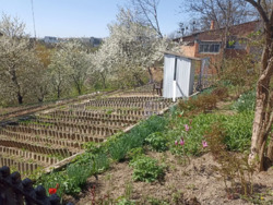 ��������� ������� ��� ���������, ³�����, ³�������, ����������� ���� 19