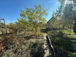 ��������� ������� ���� -�����������, ³��������, ³������� ���� 10