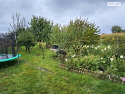 ��������� ������� ³�����, ³������� ���� 20