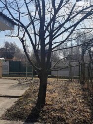 Продається будинок Петрик, масив Садівник, Вінниця, Вінницька фото 12 Продається будинок Петрик, масив Садівник, Вінниця, Вінницька фото 12