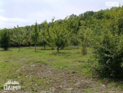 ��������� ������� ����� ���������(���� ���), ³�����, ³������� ���� 10