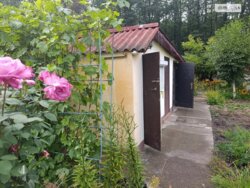 ��������� ������� ������, ���. ������, ³�����, ³������� ���� 7