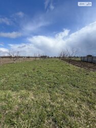 ��������� ������� ������ ���. ����������(�������������), ³�����, ³������� ���� 16