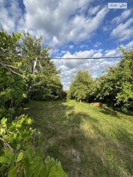 ��������� ������� ������, �� ���, ³�����, ³������� ���� 13