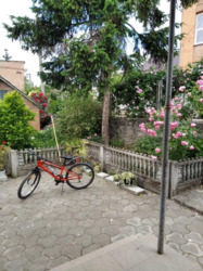 ��������� ������� ��� ���������, ³�����, ³�������, ����������� ���� 15