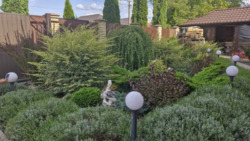 ��������� ������� �� �����, ³�����, ³������� ���� 9