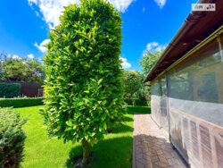 ��������� ������� ���. �������� �, ³�����, ³�������, ���������� ���� 17