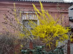 ��������� ������� ����� �������䳿, ³�����, ³�������, ������������� ���� 2