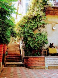 ��������� ������� ���. ����� ������,, ³�����, ³�������, ϒ�������� ���� 9