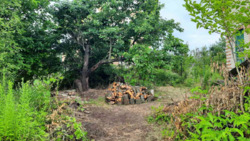 ��������� ������� ����� '������', ��������, ³��������, ³������� ���� 12