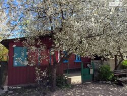 ��������� ������� ����. ������ �������,, ³�����, ³�������, ����`���� ���� 2