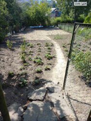 ��������� ������� ���. ˳���������, ³�����, ³�������, ����� ���� ���� 8