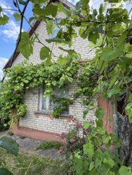 ��������� ������� ������, �� ���, ³�����, ³������� ���� 4