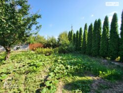 ��������� ������� 1-� ����. ���������� ����, ³�����, ³�������, ���������� ���� 15