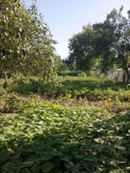 ��������� ������� ��� ���������, � ��������, ³�����, ³������� ���� 8