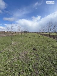 ��������� ������� ������ ���. ����������(�������������), ³�����, ³������� ���� 15