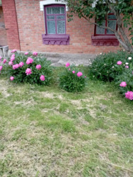 ��������� ������� ��� ���������, � ��������, ³�����, ³������� ���� 1