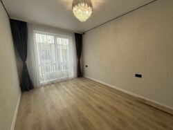 ��������� ������� ��������, ³��������, ³������� ���� 15