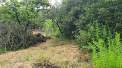 ��������� ������� ����� '������', ��������, ³��������, ³������� ���� 6