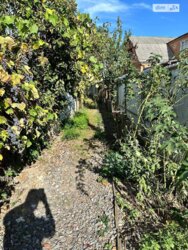 ��������� ������� ���. �������� ������������, ³�����, ³�������, ����� ���� 5